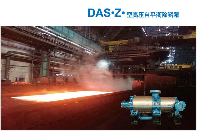 DAS·Z·型高压自平衡除磷泵